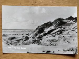 Postcard Texel ongerepte duinen