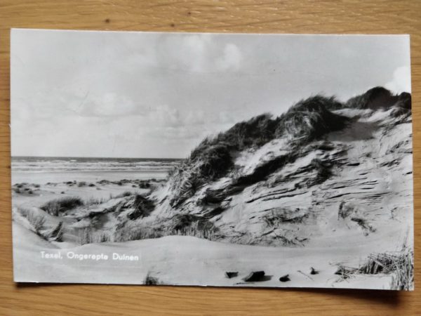 Postcard Texel ongerepte duinen