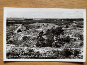 Postcard Castricum Panorama
