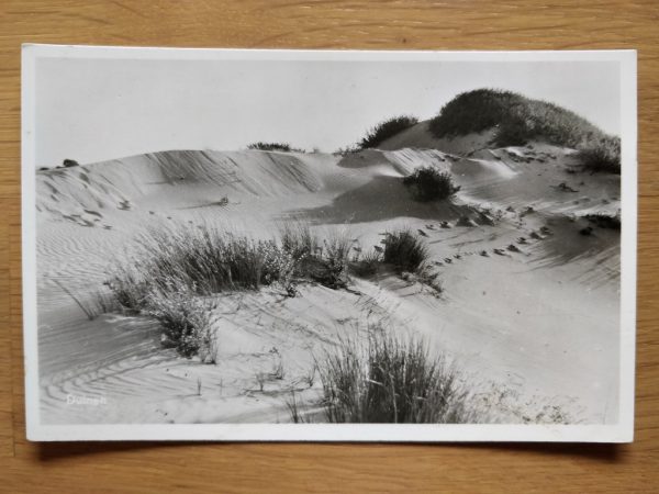 Postcard Holland Duinen