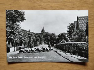 Postcard Den Burg Texel