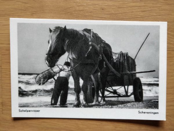 Postcard Scheveningen Horse Schelpenvisser