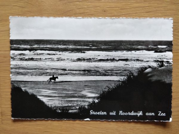 Postcard Beach Horse Noordwijk aan Zee
