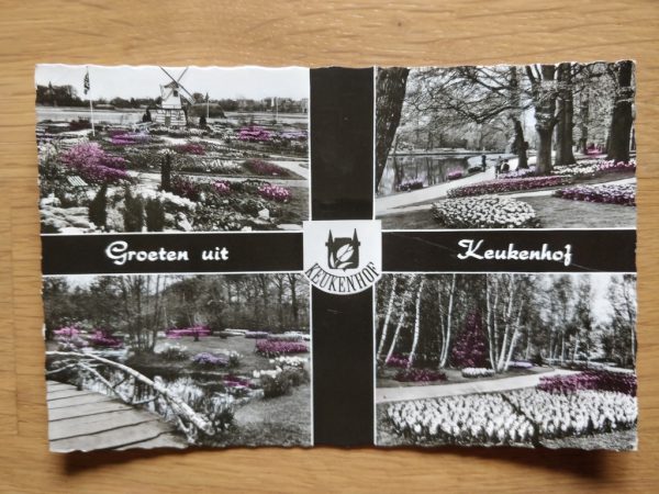 Postcard Groeten uit Keukenhof