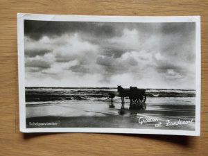 Postcard Zandvoort Sea and Horse