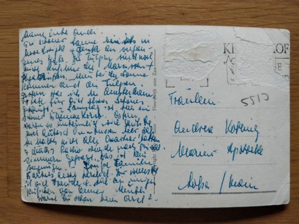Postcard Noordwijk aan Zee Wilhelmina Boulevard - Image 2