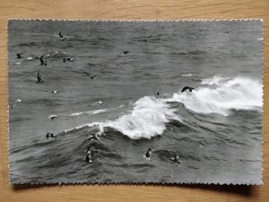 Postcard Sea Callantsoog