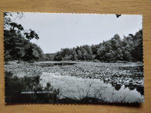 Postcard Oisterwijk Wolfsputveen