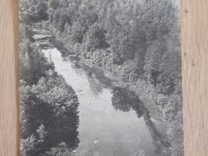 Postcard Florenville Environs 1925