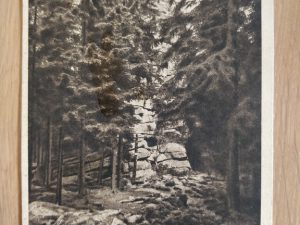 Postcard Schierke in Harz