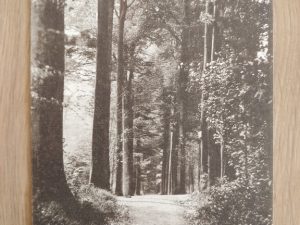 Postcard Boitsfort 1936