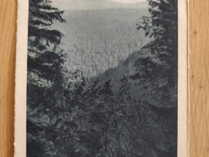 Postcard Hotel Wendt Oberharz