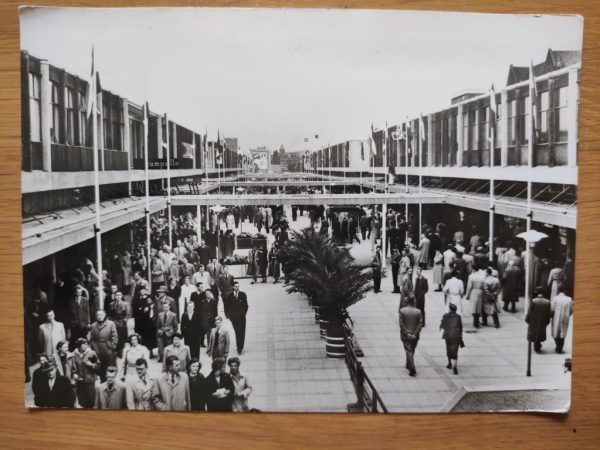 Postcard Ansichtkaart Rotterdam Lijnbaan