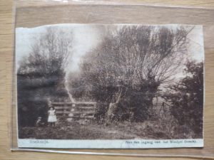 Postcard Rockanje Windgat