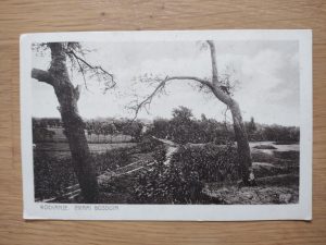 Postcard Rockanje Bosduin