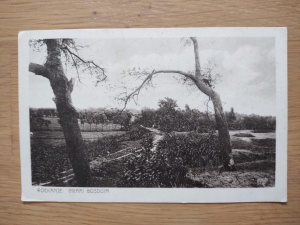 Postcard Rockanje Bosduin