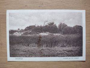 Postcard Rockanje Lizepuit