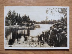 Postcard Groningen Stadspark