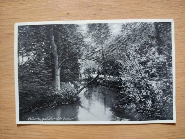 Postcard Valkenburg Bomen
