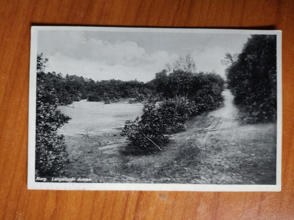 Postcard Norg Duinen