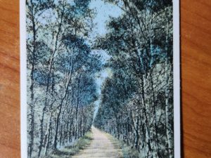 Postcard Maarn Groeten uit
