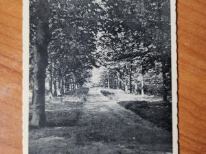 Postcard Veenendaal op den Berg
