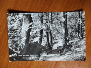 Postcard velp Langs de Beek