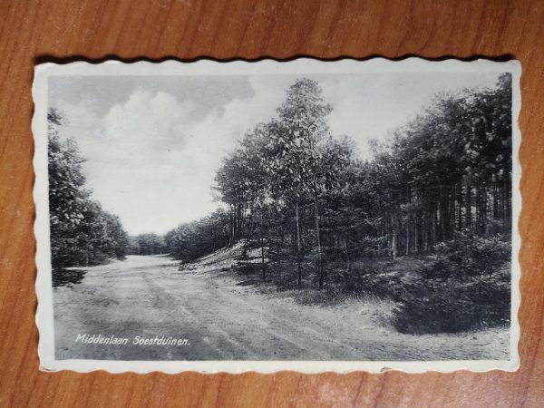 Postcard Soestduin Middenlaan