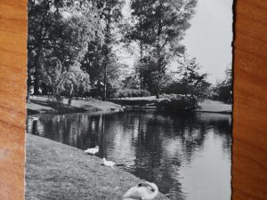 Postcard Eindhoven Stadswandelpark