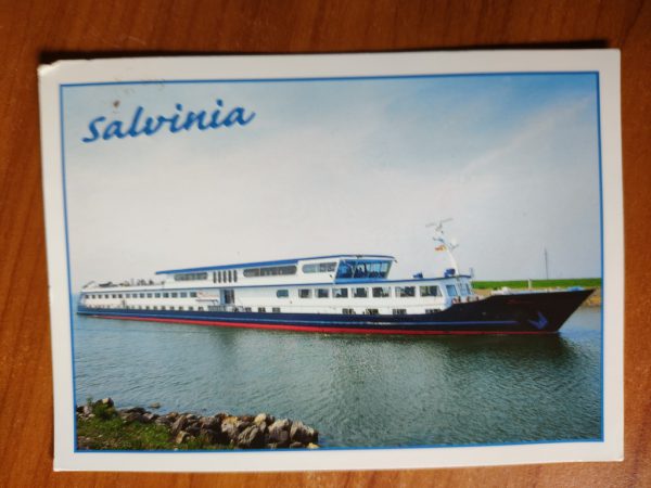 Postcard Arnhem Salvinia