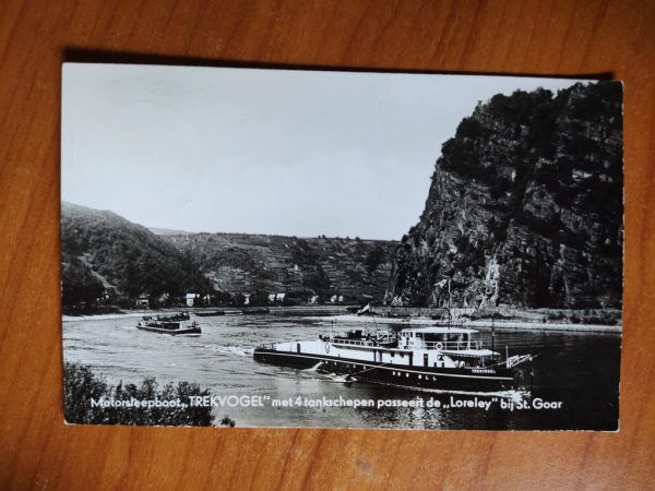 Postcard Ship Trekvogel Rotterdam