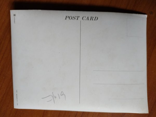 Postcard 3D Eagle Bird - Image 2