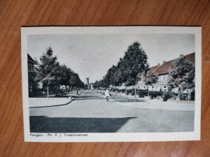 Postcard Hengelo Troelstrastraat