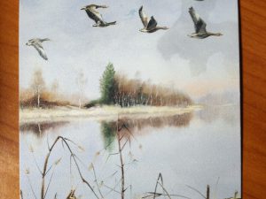Postcard Goose Rob Hessels