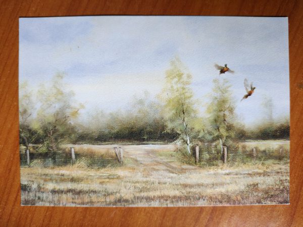 Postcard Pheasants Rob Hessels