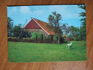 Ansichtkaart Winterswijk Saksische boerderij
