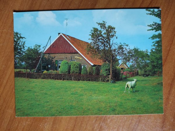 Ansichtkaart Winterswijk Saksische boerderij