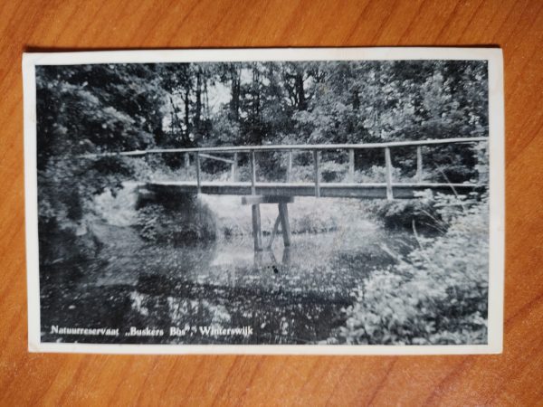 Ansichtkaart Winterswijk Buskers Bos Brug