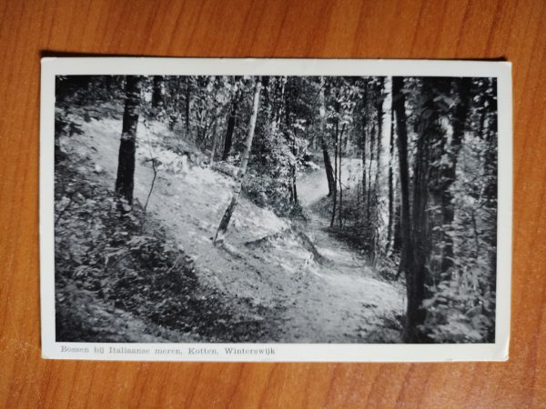 Ansichtkaart Winterswijk Bossen bij Italiaanse Meren Kotten