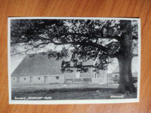 Ansichtkaart Winterswijk Boerderij Wesselink Meddo