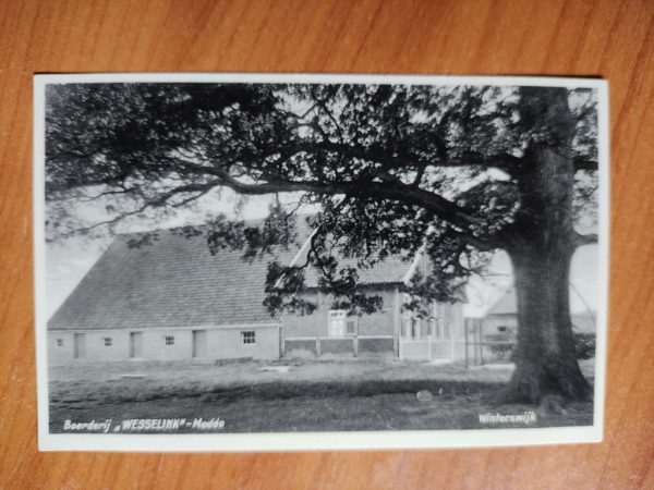Ansichtkaart Winterswijk Boerderij Wesselink Meddo