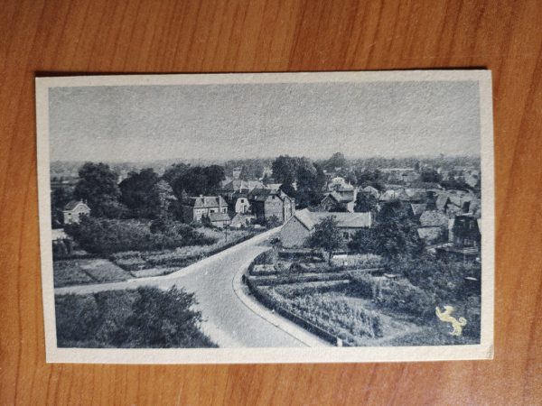 Ansichtkaart Winterswijk Panorama Bosmastraat