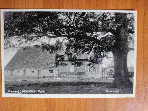 Ansichtkaart Winterswijk Boerderij wesselink Meddo