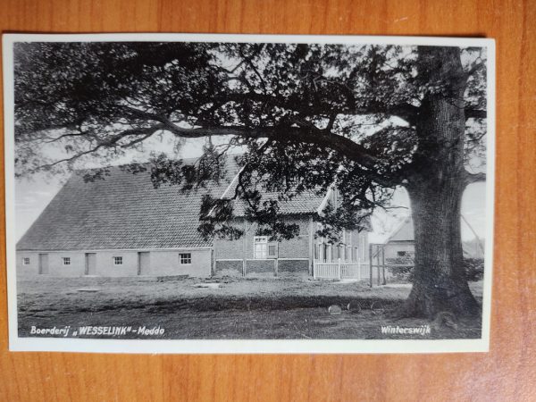 Ansichtkaart Winterswijk Boerderij wesselink Meddo
