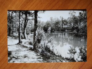 Ansichtkaart Winterswijk Italiaanse Meren Kotten