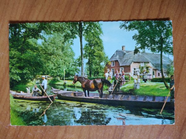 Postcard Giethoorn Horse on Boat