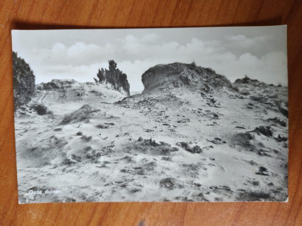 Ansichtkaart Onze Duinen
