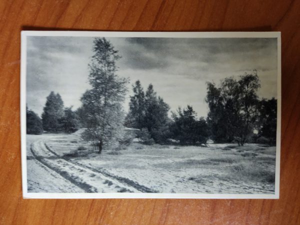 Ansichtkaart Lutterzand Natuurschoon