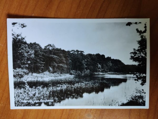 Ansichtkaart Oisterwijk Esscheven