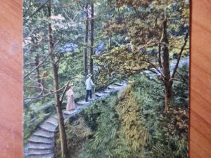Ansichtkaart Nijmegen Berg en Dal